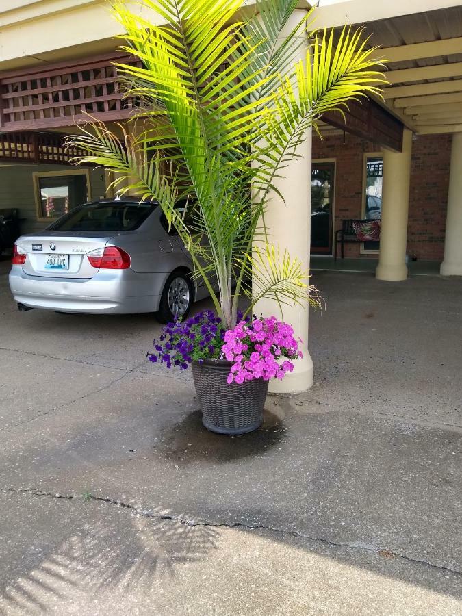 Southern Comfort Suites Mayfield Экстерьер фото
